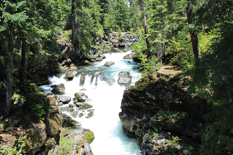 A river with a wide, rocky waterfall cutting through a forest.